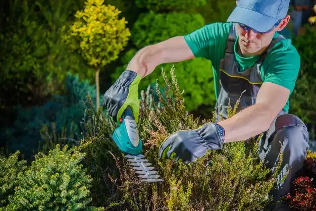 landscaping services Alliance
